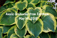 Alexis Graduates from Fordham