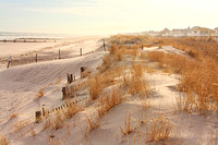 Jersey Shore Dunes